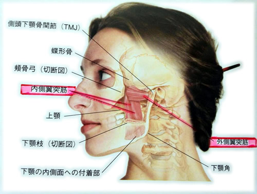 大川接骨院（金沢）　顎関節症