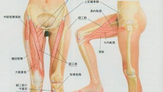グロインペイン症候群 サッカーが圧倒的に多い 鼠径部痛 大川接骨院 石川県金沢市八日市 柔道整復師 電気療法 マッサージ 各種保険適用 医療費助成対応